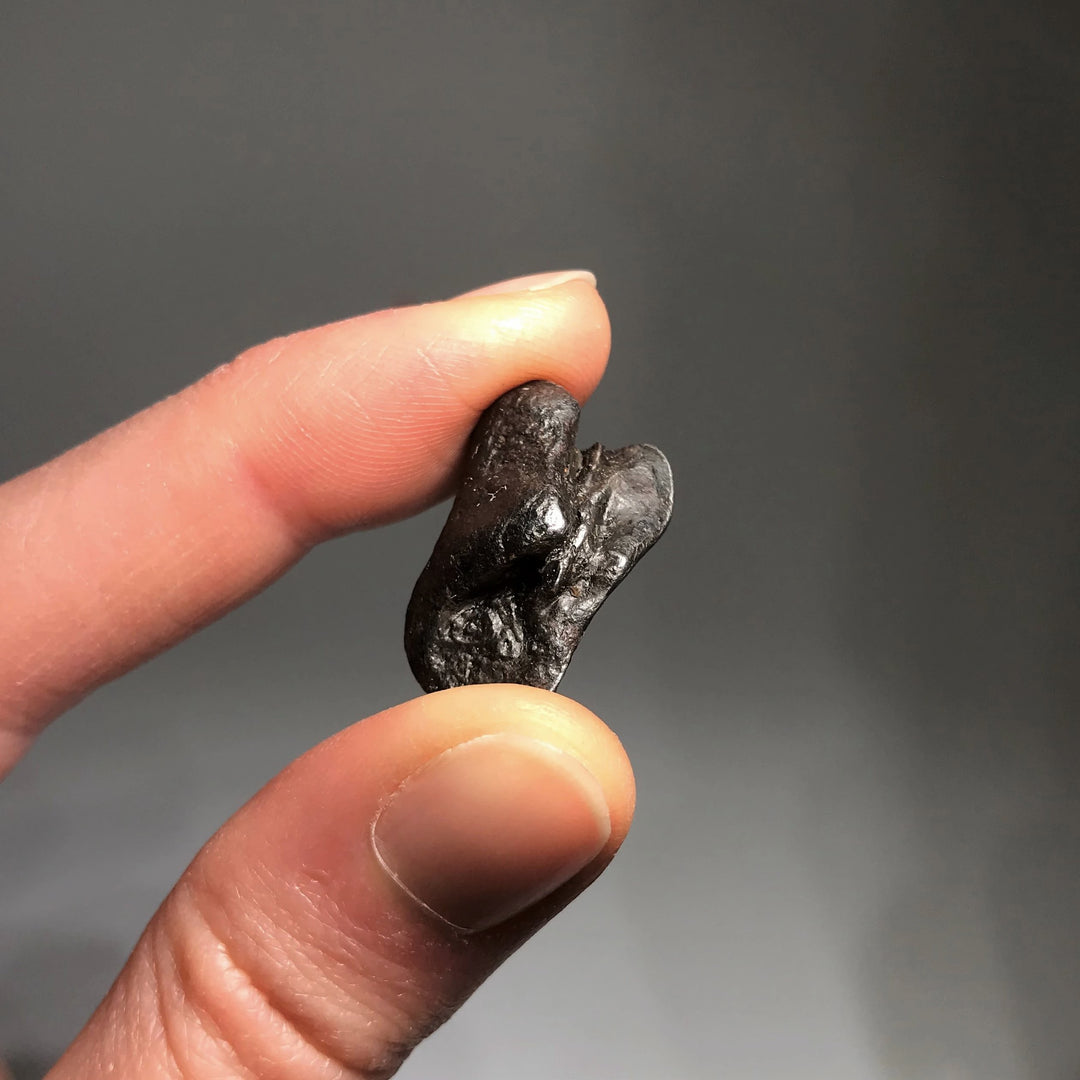 Sikhote-Alin Meteorite - Rocks and Gems Canada