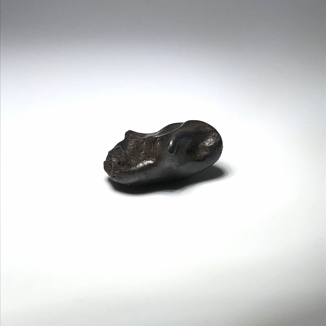 Sikhote-Alin Meteorite - Rocks and Gems Canada