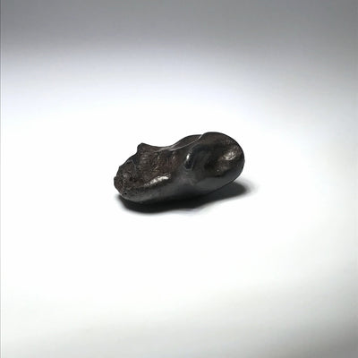 Sikhote-Alin Meteorite