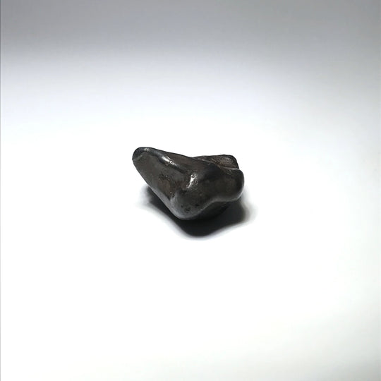 Sikhote-Alin Meteorite - Rocks and Gems Canada