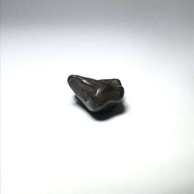 Sikhote-Alin Meteorite