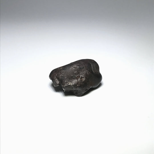 Sikhote-Alin Meteorite - Rocks and Gems Canada