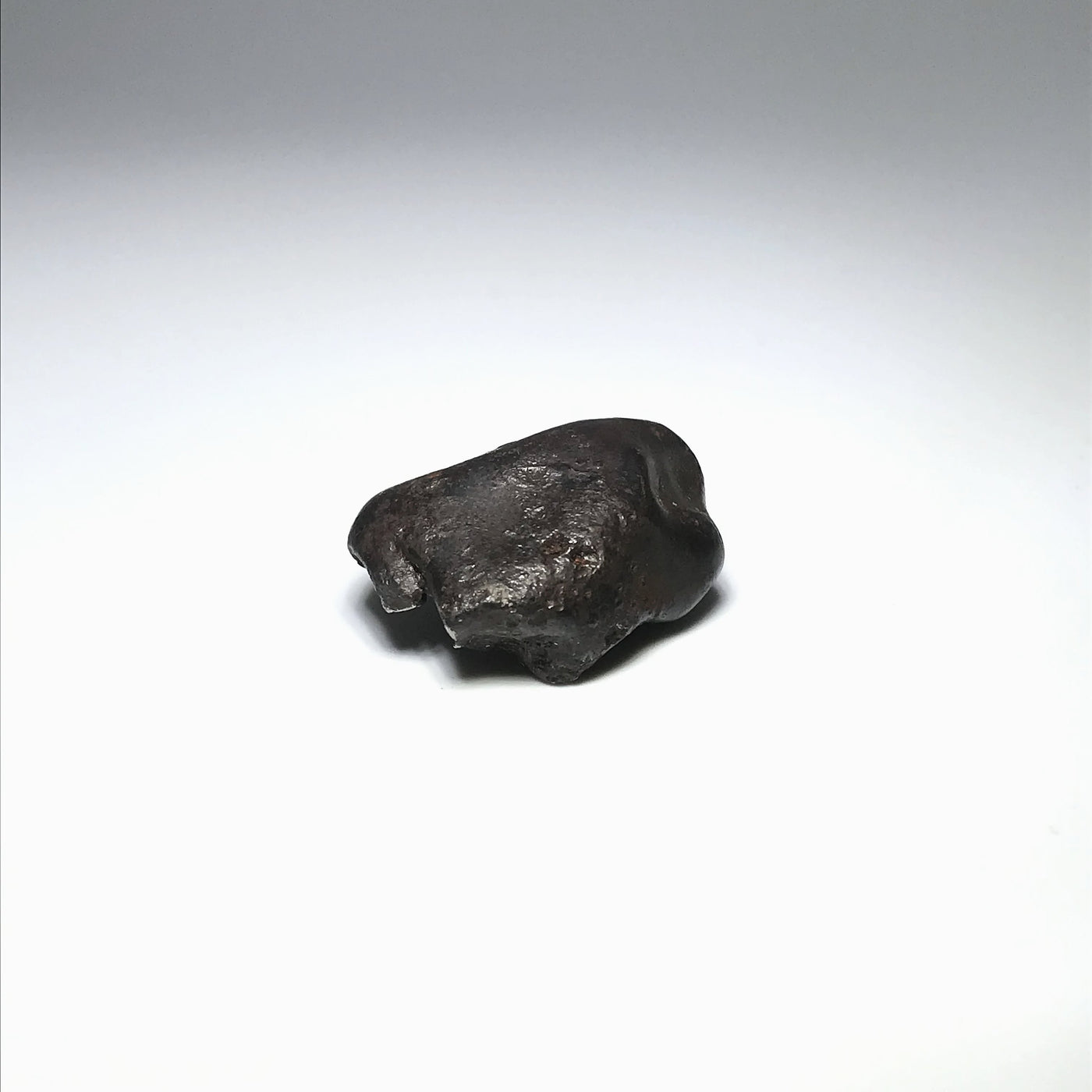 Sikhote-Alin Meteorite