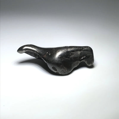 Sikhote-Alin Meteorite