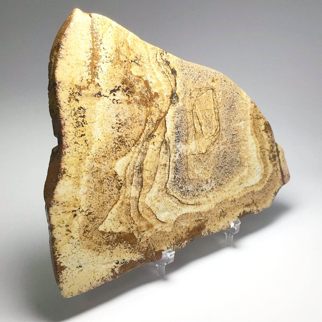 Picture Jasper Slice-Rocks and Gems Canada