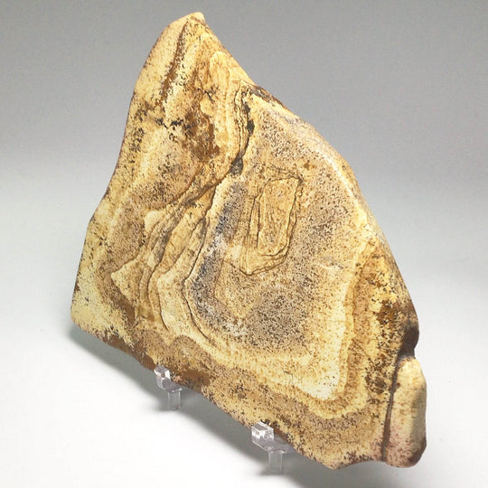 Picture Jasper Slice-Rocks and Gems Canada