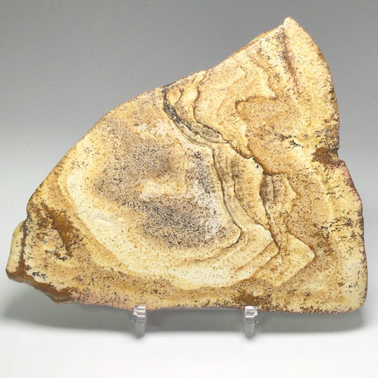 Picture Jasper Slice-Rocks and Gems Canada