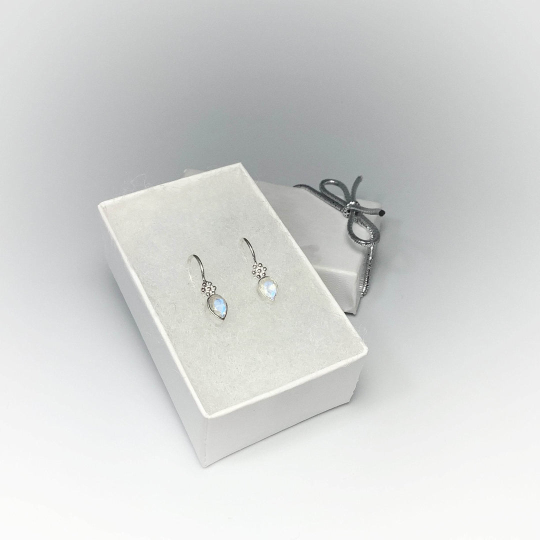 Rainbow Moonstone Dangle Earrings-Rocks and Gems Canada
