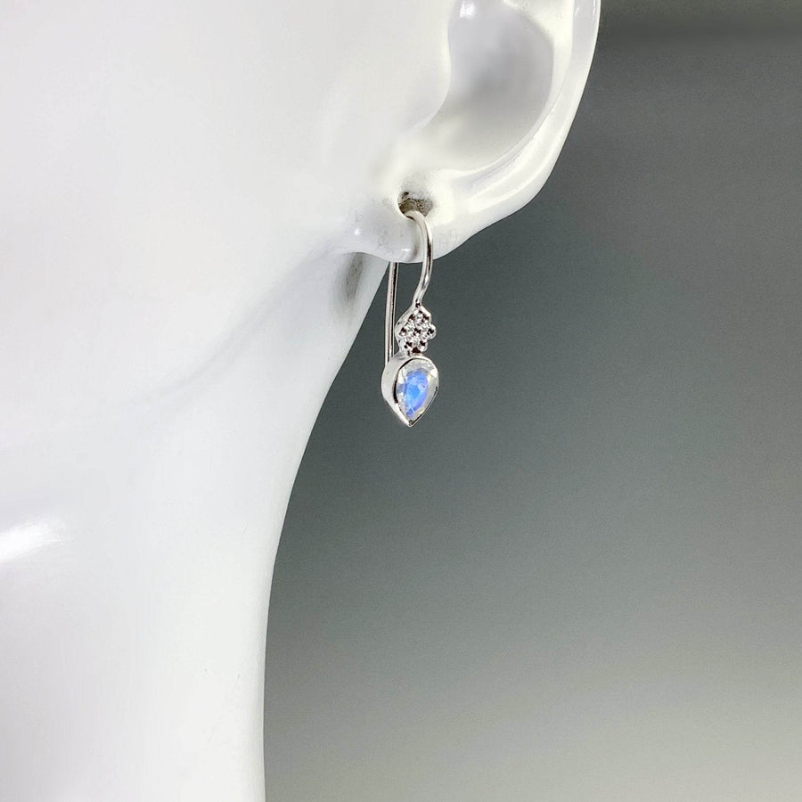 Rainbow Moonstone Dangle Earrings-Rocks and Gems Canada