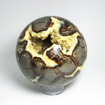 Septarian Sphere