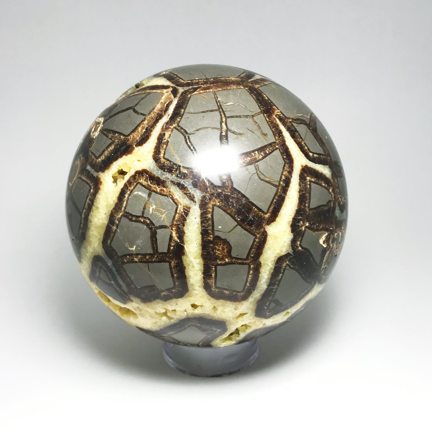 Septarian Sphere
