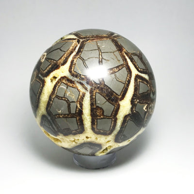 Septarian Sphere