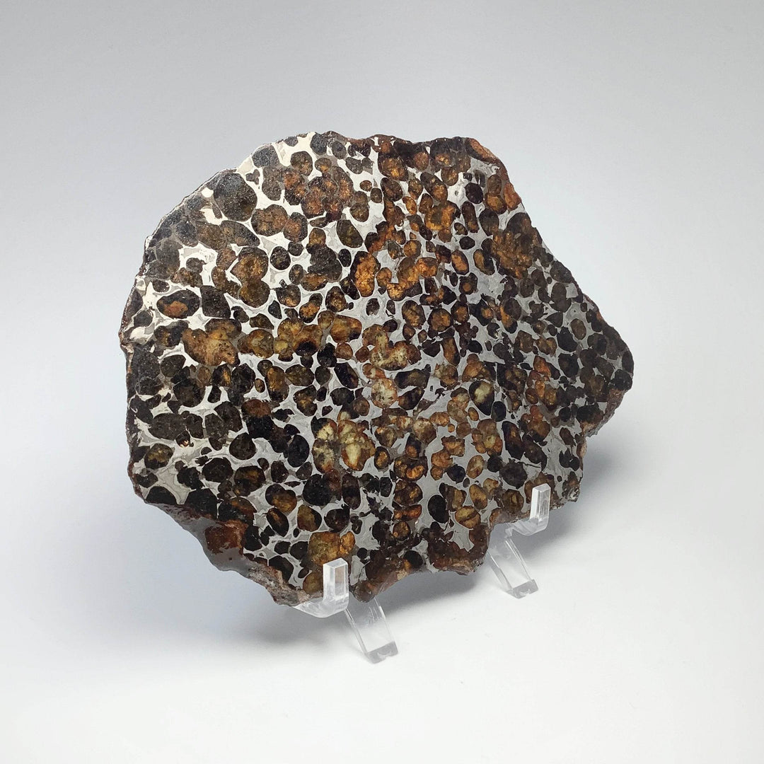 Sericho Large Meteorite Slice-Rocks and Gems Canada