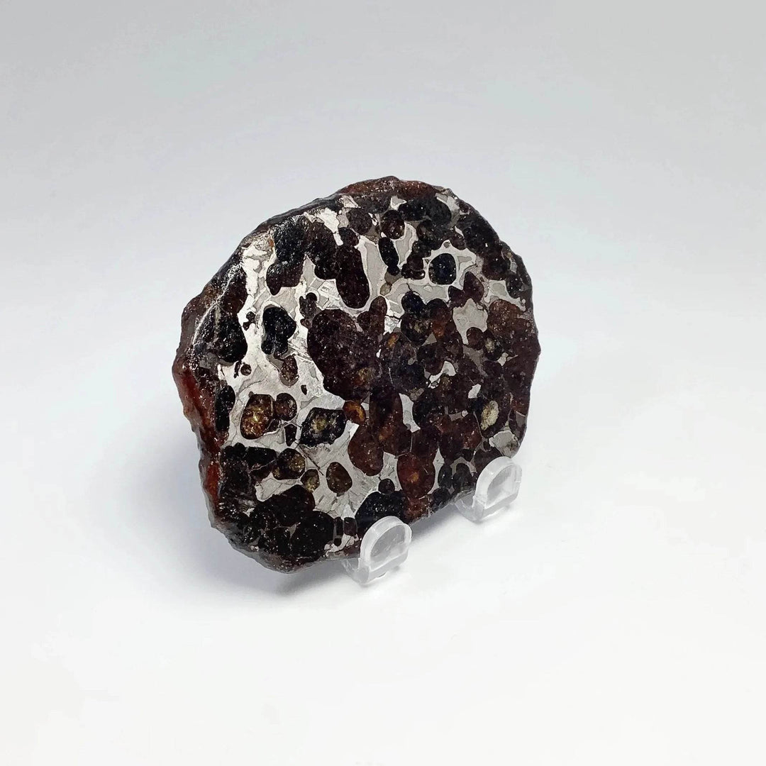 Sericho Meteorite Slice-Rocks and Gems Canada