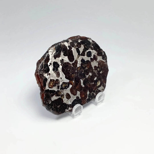 Sericho Meteorite Slice-Rocks and Gems Canada