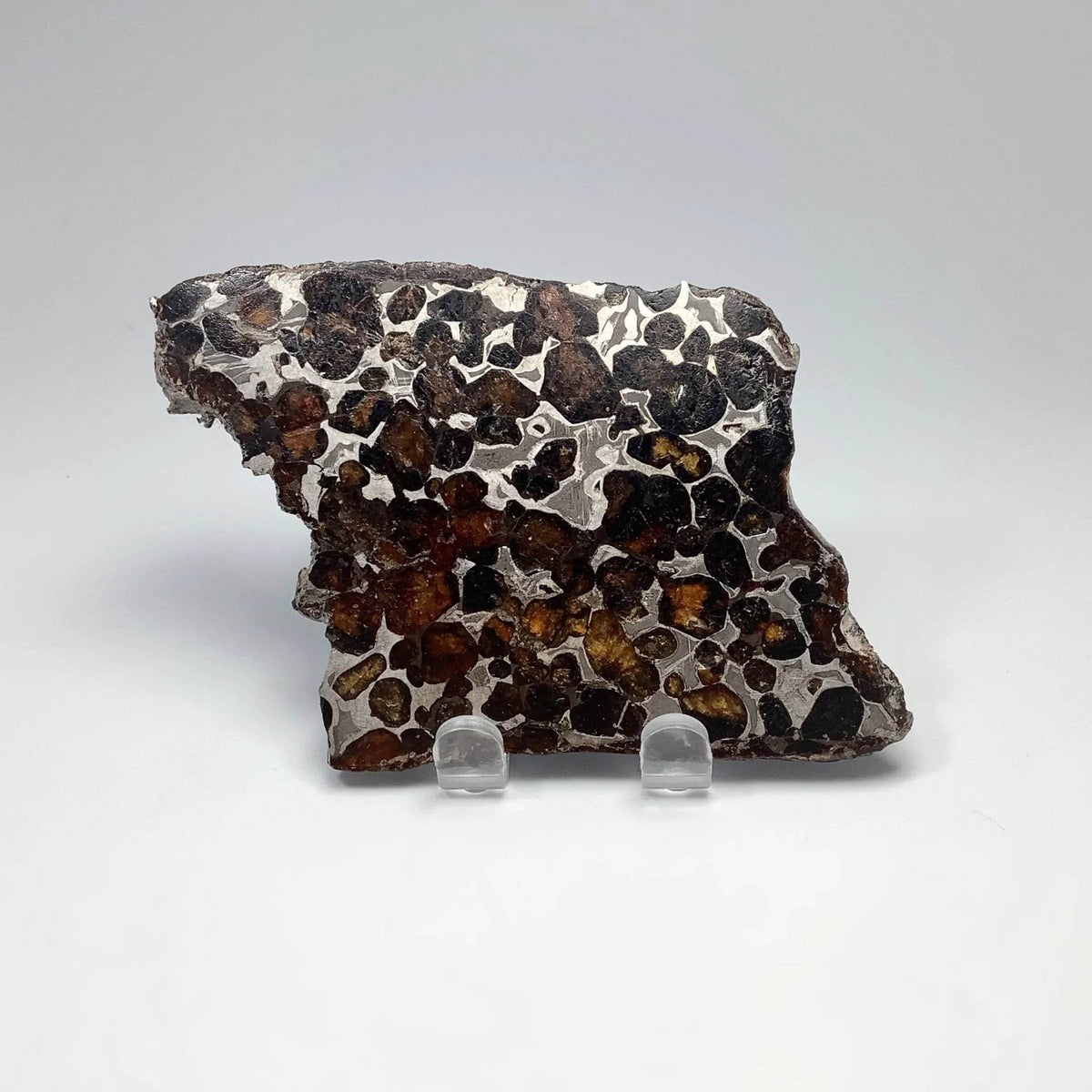 Sericho Meteorite Slice-Rocks and Gems Canada