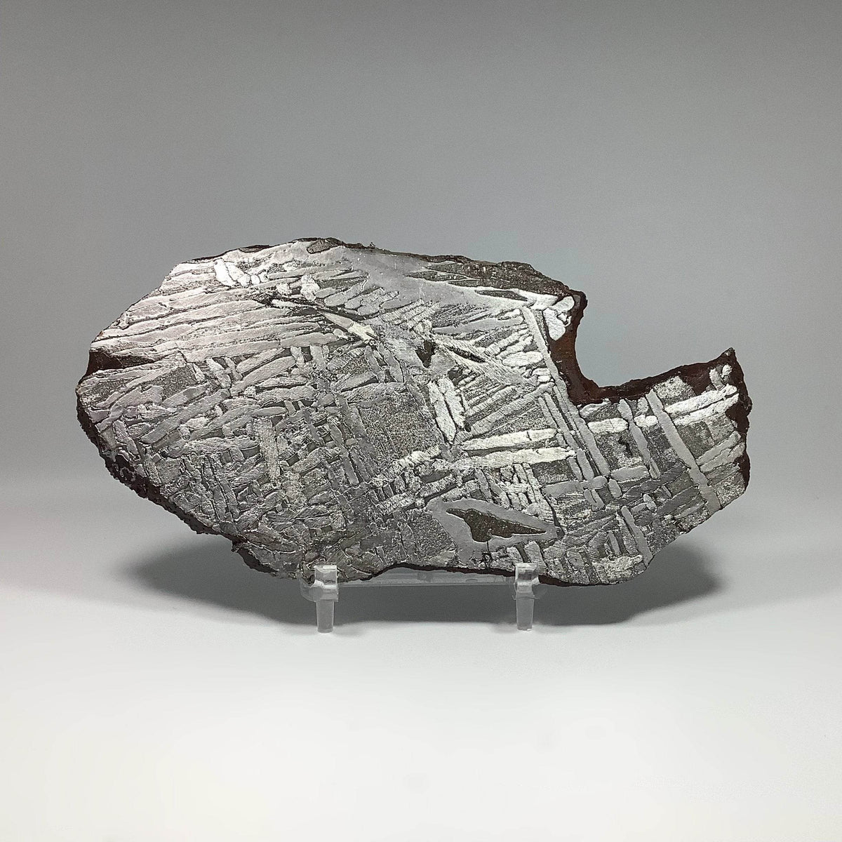 Seymchan Meteorite Slice-Rocks and Gems Canada