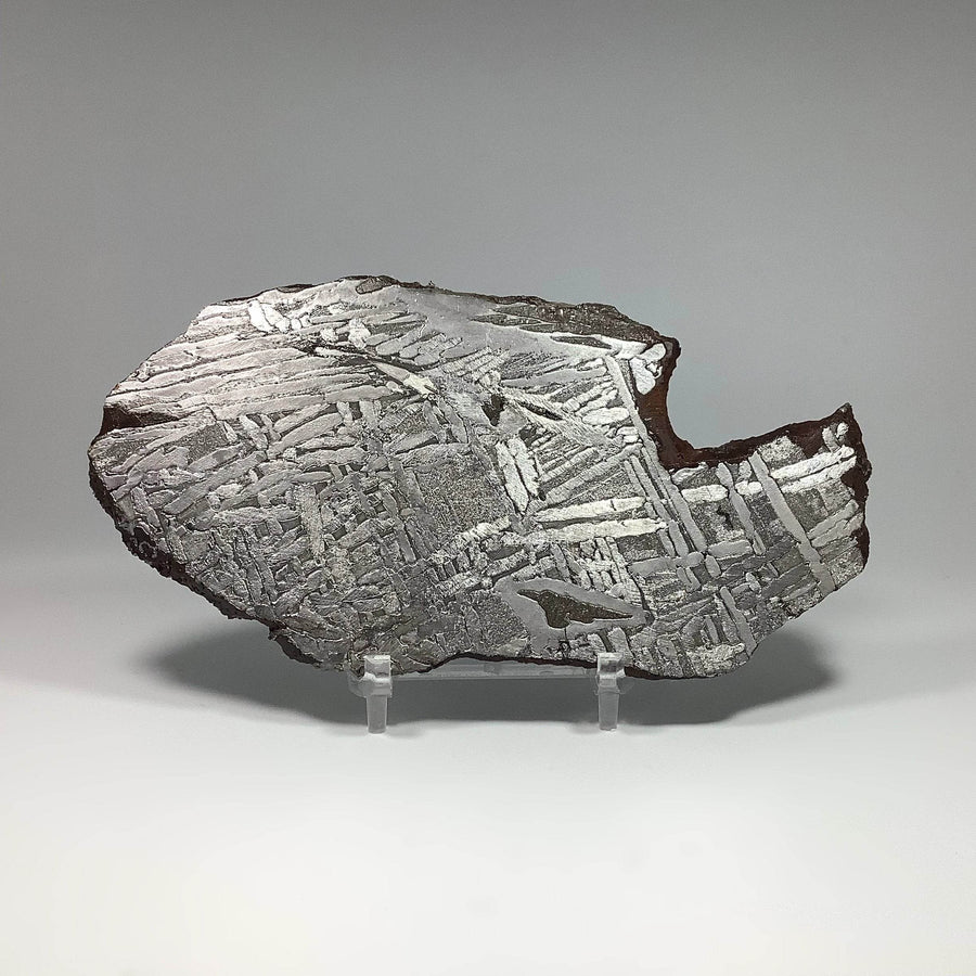 Seymchan Meteorite Slice-Rocks and Gems Canada