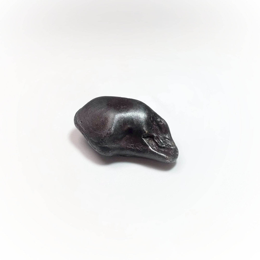 Sikhote-Alin Meteorite-Rocks and Gems Canada