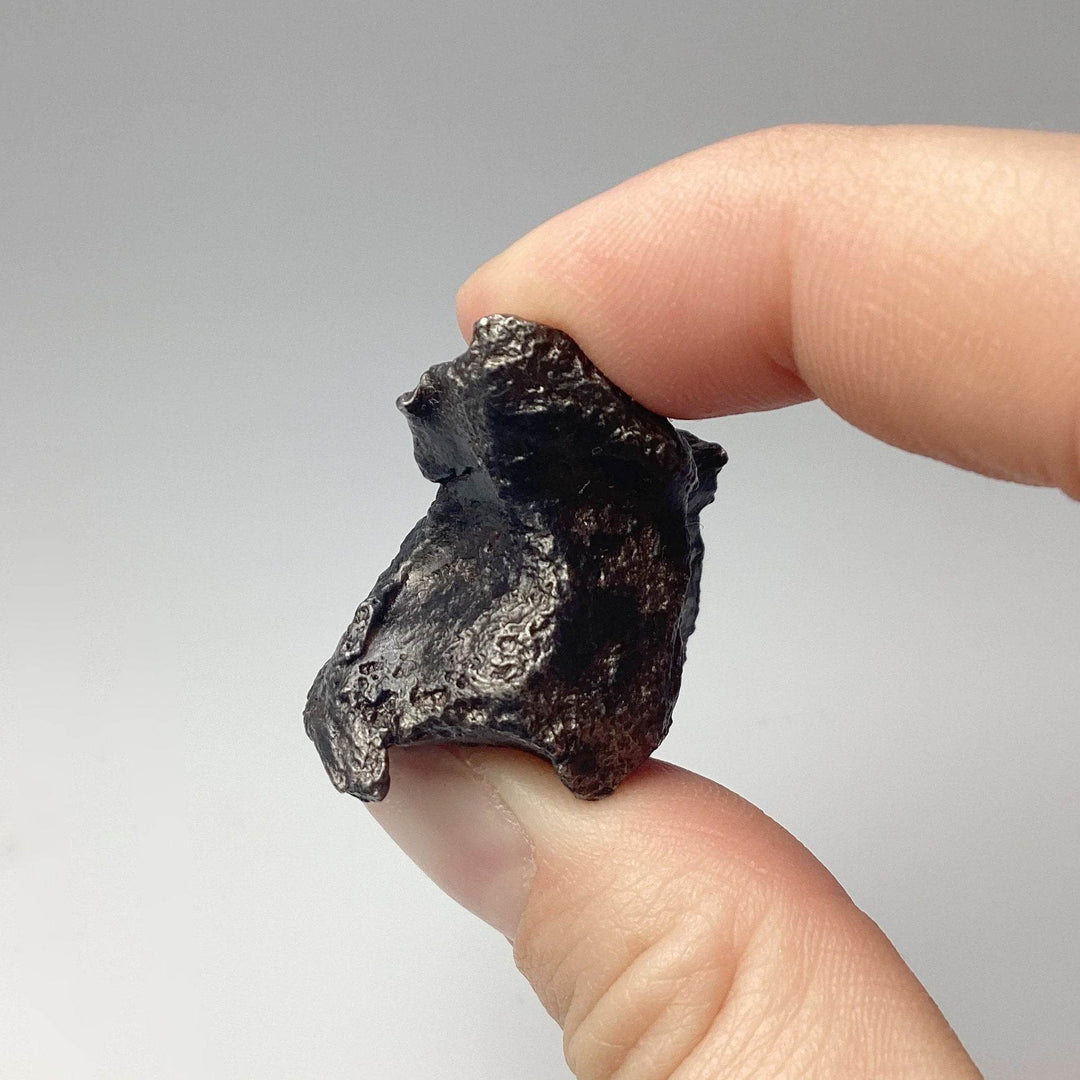 Sikhote-Alin Shrapnel Meteorite-Rocks and Gems Canada