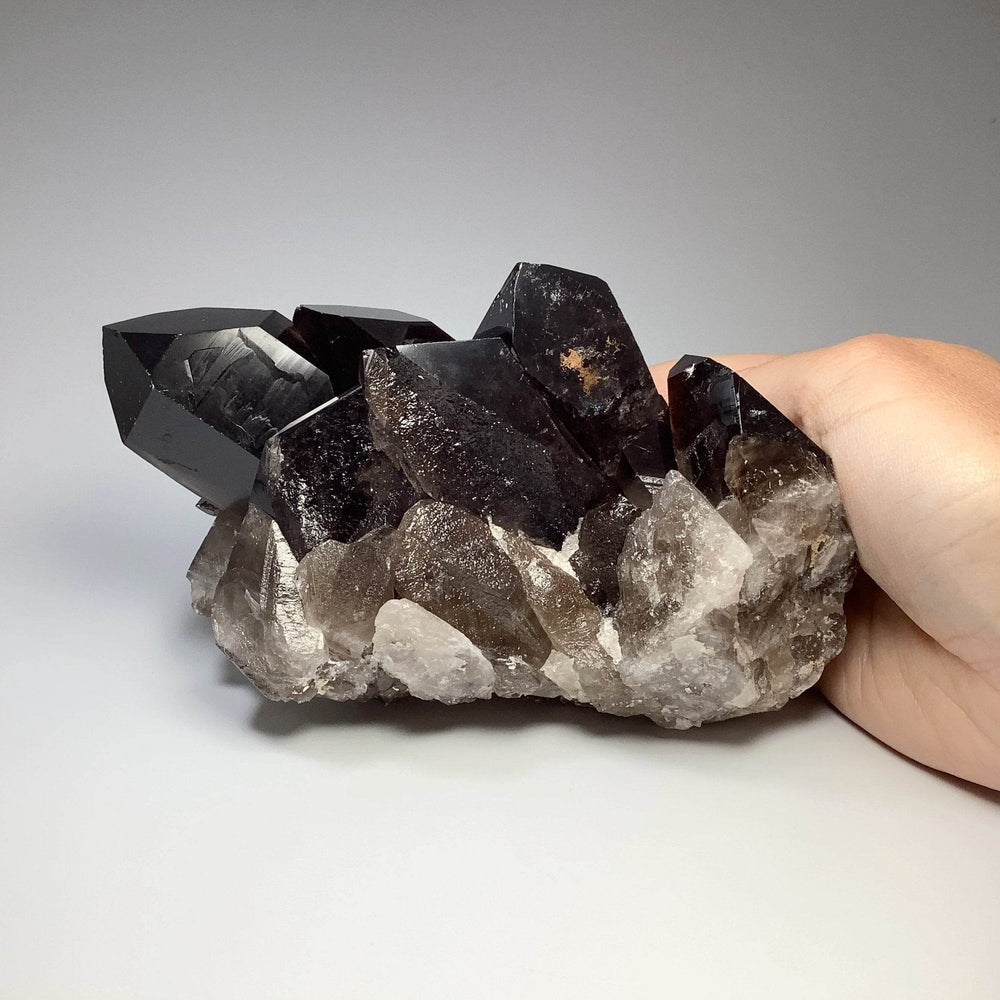 Smoky Quartz Large Cluster-Rocks and Gems Canada