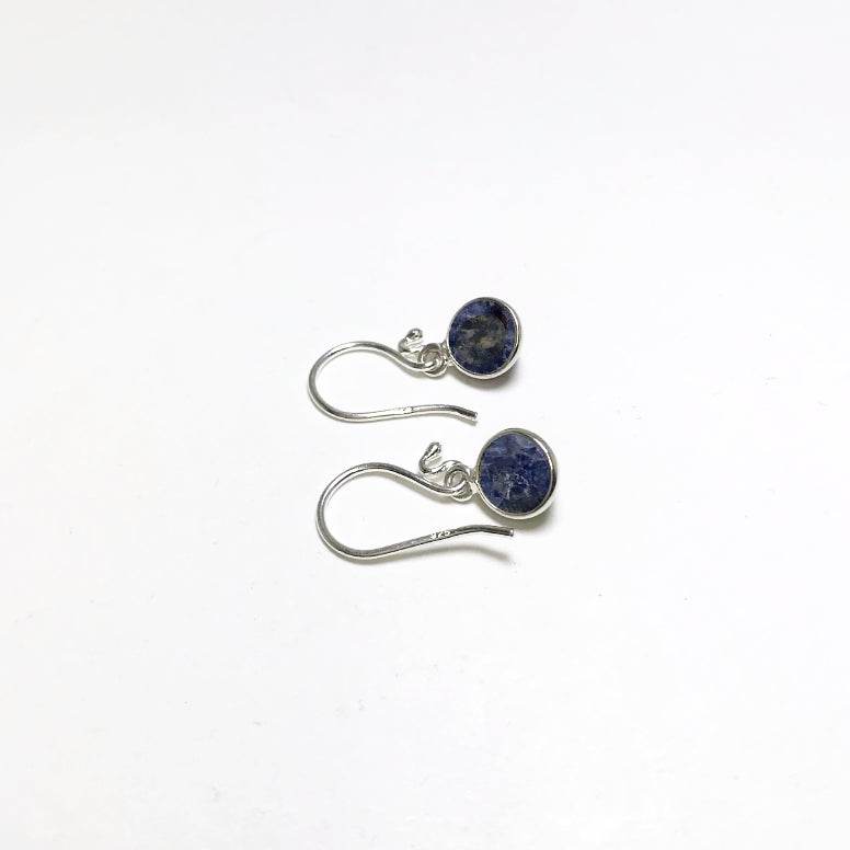 Sodalite Dangle Earrings-Rocks and Gems Canada