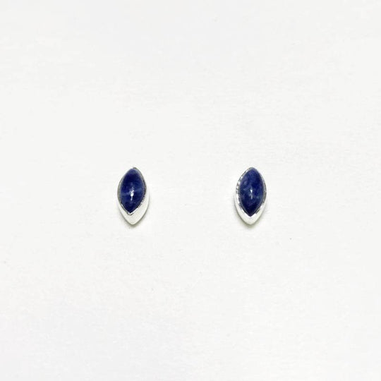 Sodalite Stud Earrings-Rocks and Gems Canada