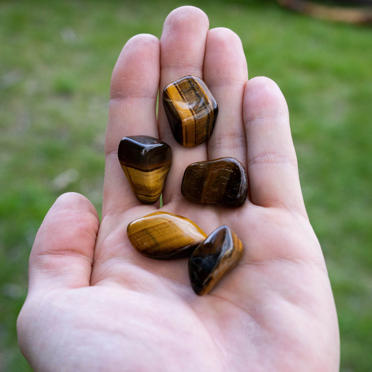 Tiger Eye Small Tumbles Pouch-Rocks and Gems Canada