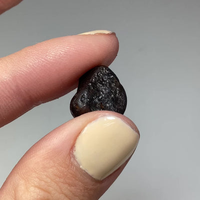 Sikhote-Alin Meteorite
