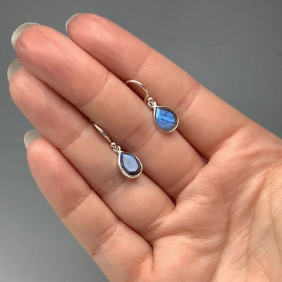 Labradorite Dangle Earrings