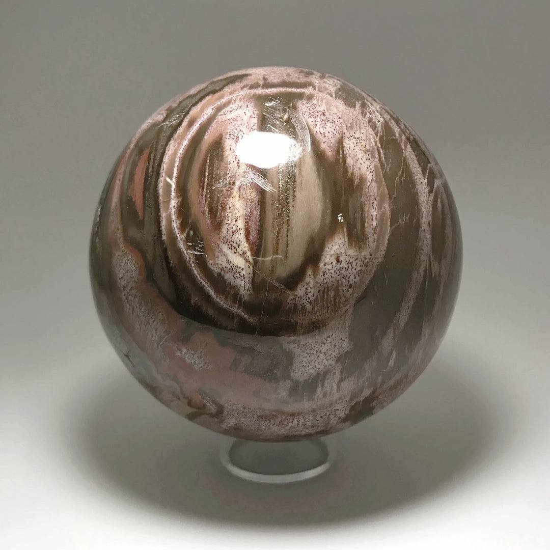Araucaria Petrified Wood Sphere - Rocks and Gems Canada