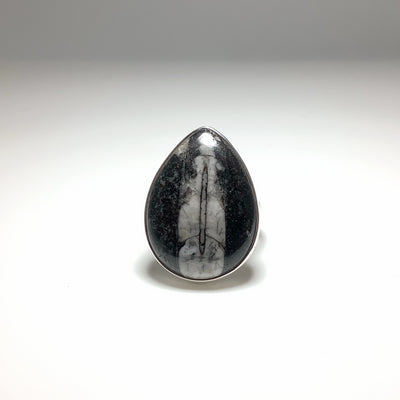Orthoceras Ring