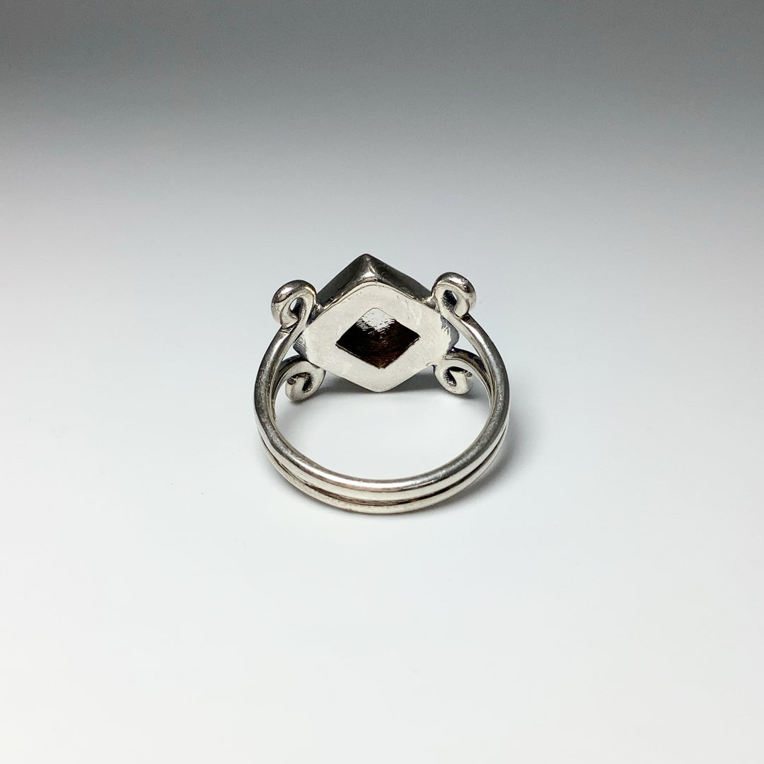 Muonionalusta Meteorite Ring - Rocks and Gems Canada