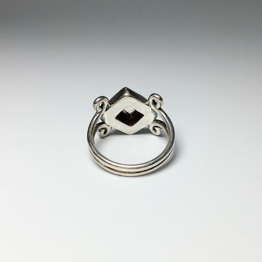 Muonionalusta Meteorite Ring - Rocks and Gems Canada
