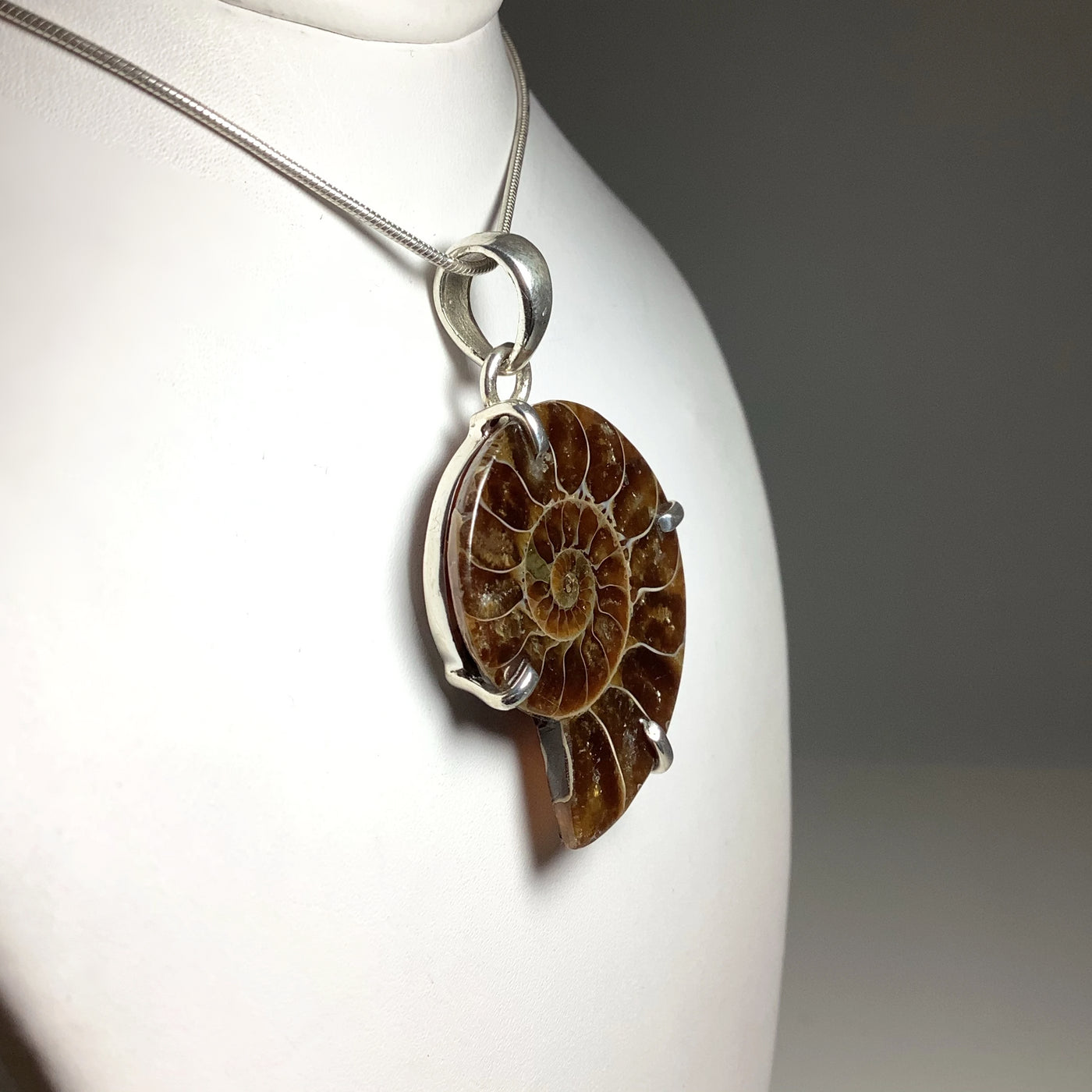 Chambered Ammonite Pendant