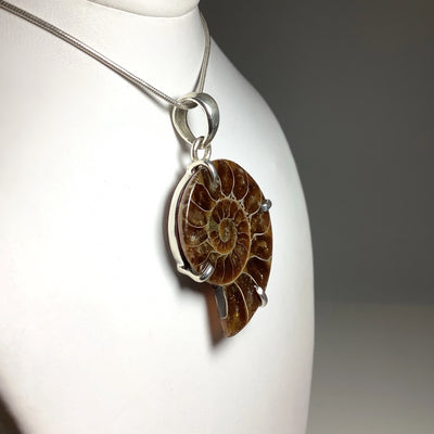 Chambered Ammonite Pendant