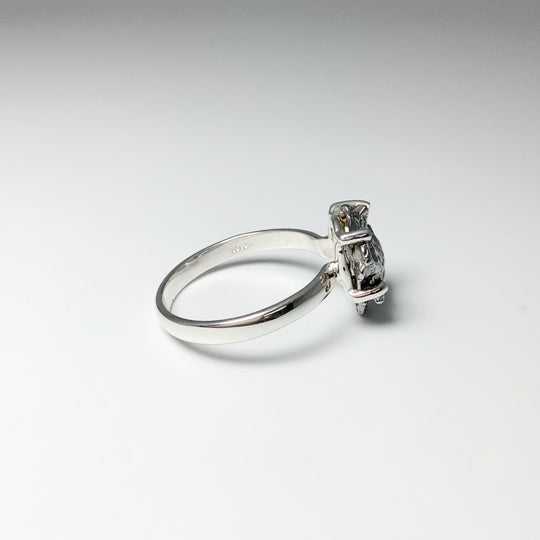Campo Del Cielo Meteorite Ring - Rocks and Gems Canada