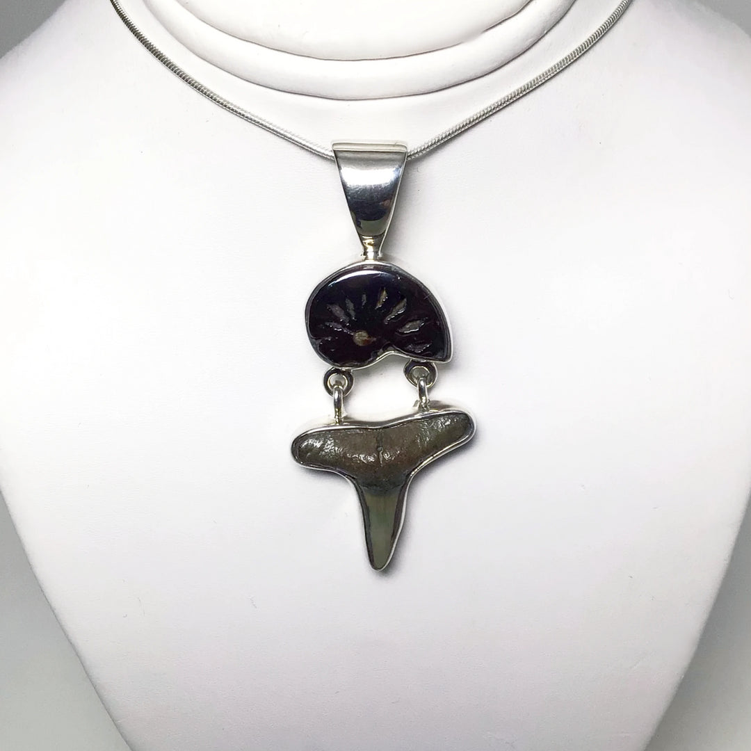 Fossilized Shark Tooth with Ammonite Pendant - Rocks and Gems Canada