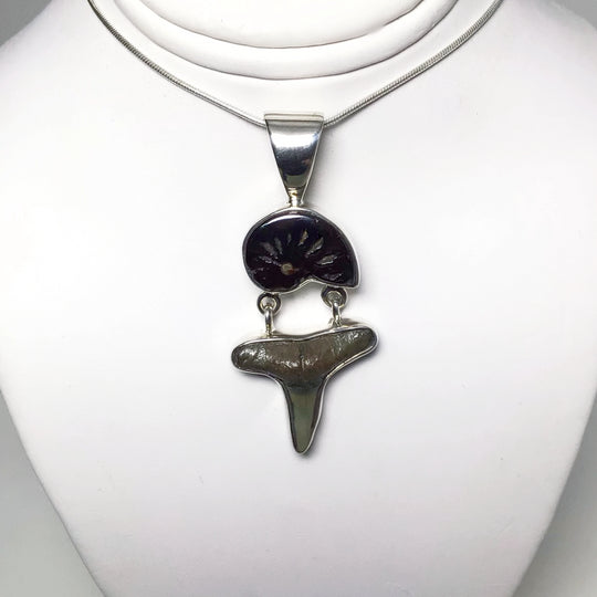 Fossilized Shark Tooth with Ammonite Pendant - Rocks and Gems Canada