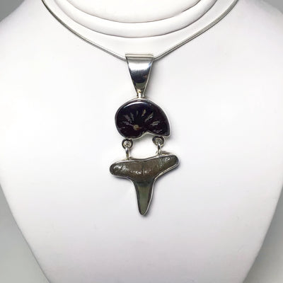 Fossilized Shark Tooth with Ammonite Pendant