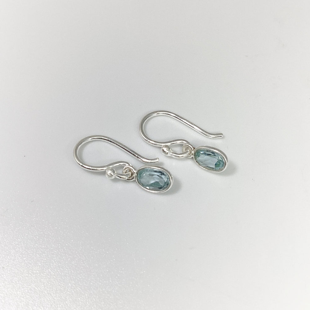 Blue Topaz Dangle Earrings - Rocks and Gems Canada