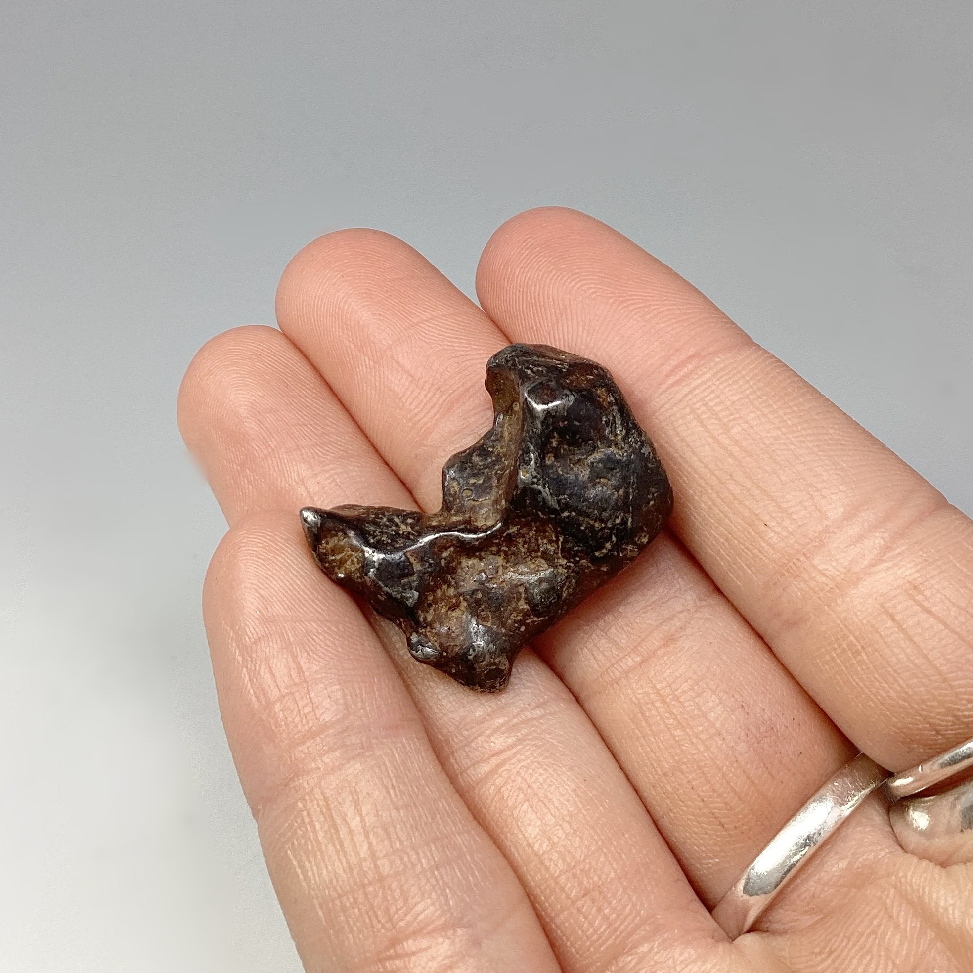 Sericho Meteorite - Rocks and Gems Canada