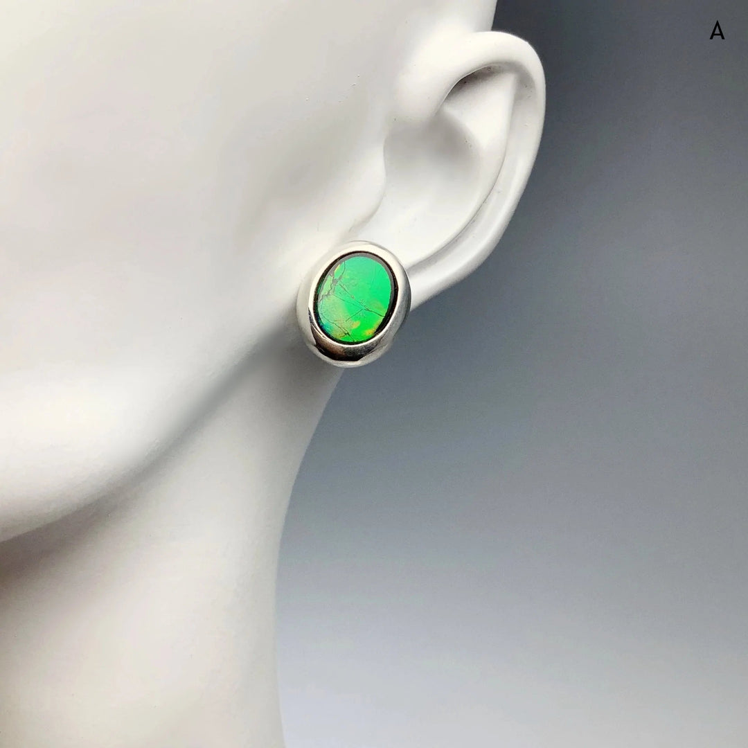 Alberta Ammolite Stud Earrings - Rocks and Gems Canada
