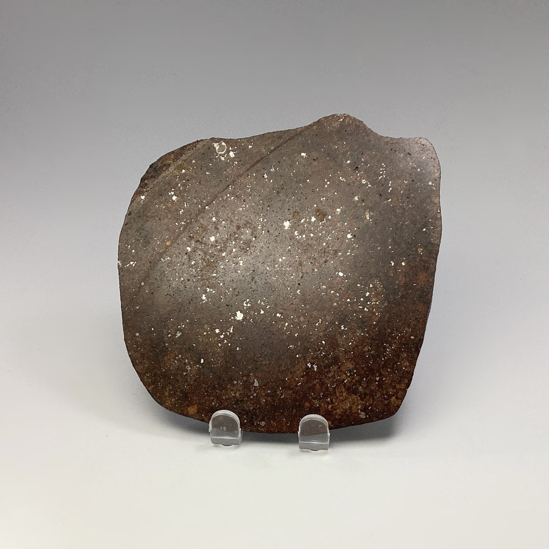 NWA Chondrite Meteorite Slab - Rocks and Gems Canada