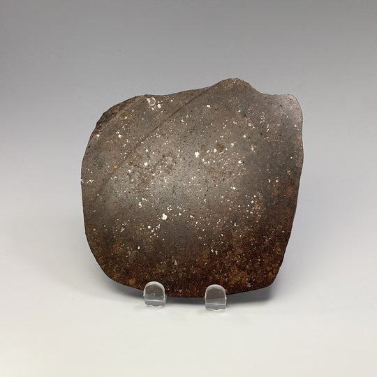 NWA Chondrite Meteorite Slab - Rocks and Gems Canada