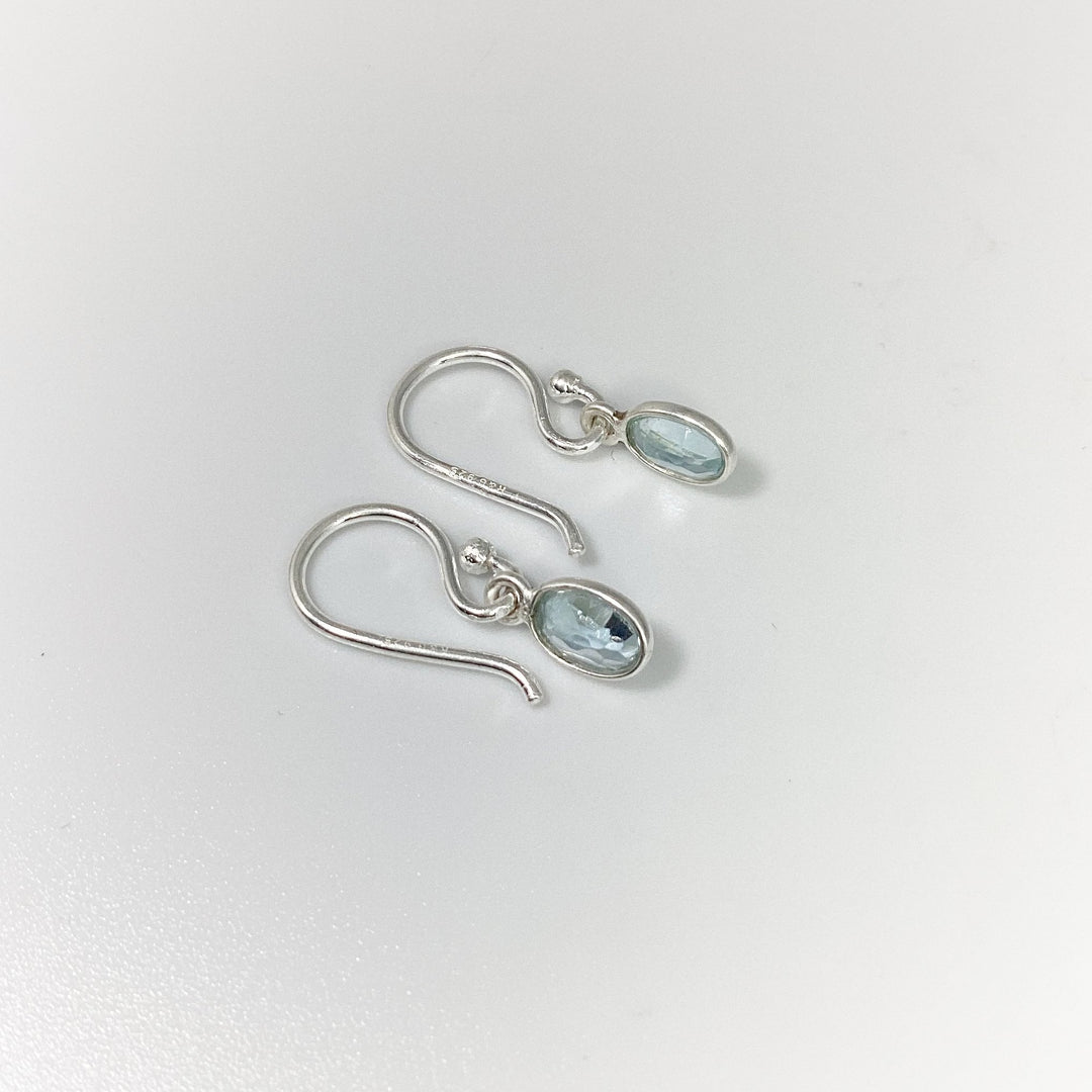 Blue Topaz Dangle Earrings - Rocks and Gems Canada