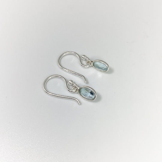Blue Topaz Dangle Earrings - Rocks and Gems Canada