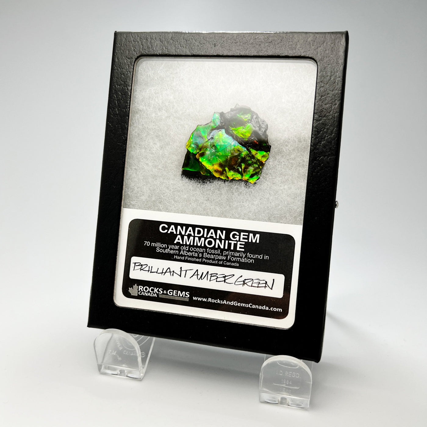 Ammolite Gem Display Box