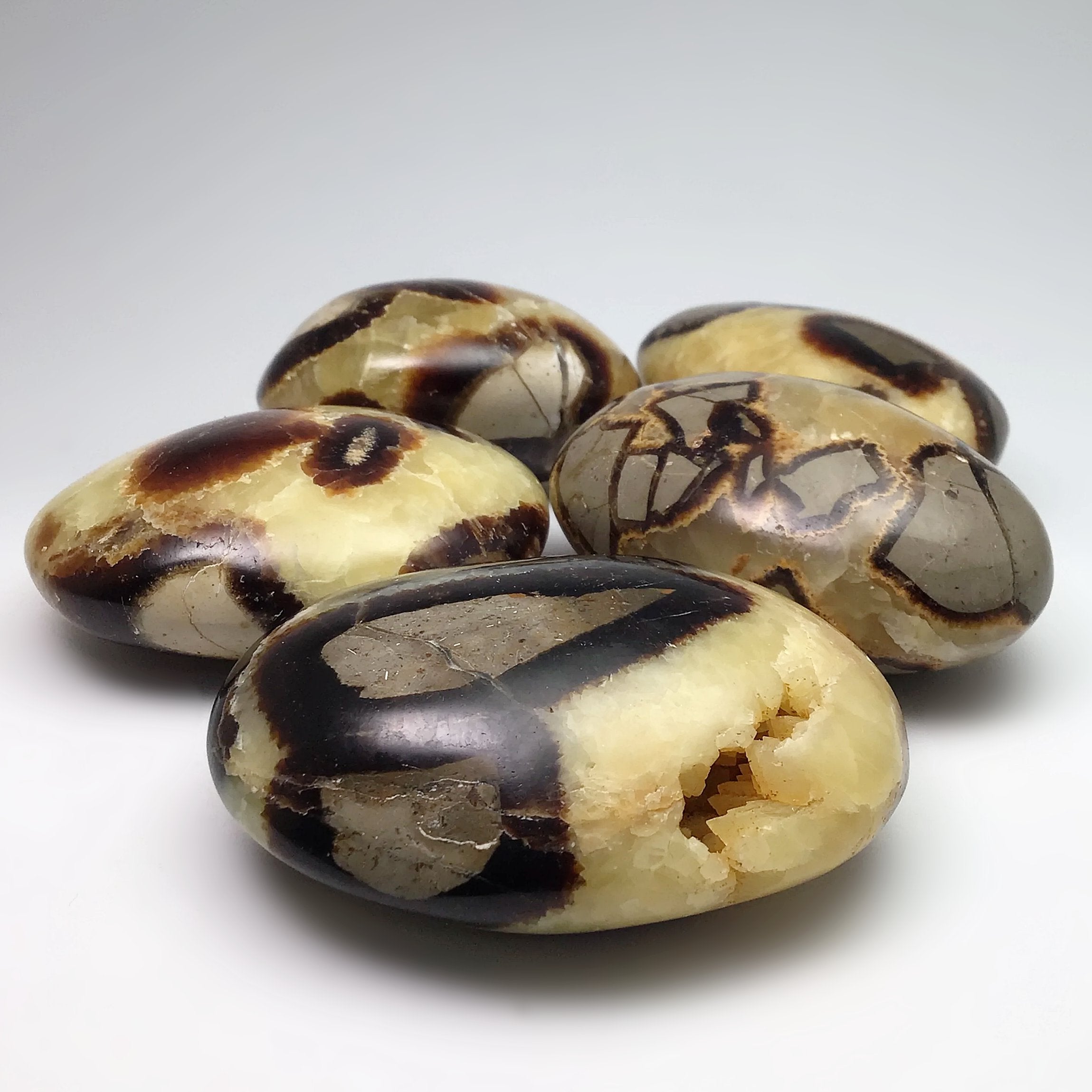 Septarian Tumble - Rocks and Gems Canada