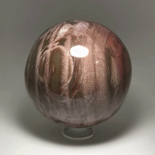 Araucaria Petrified Wood Sphere - Rocks and Gems Canada